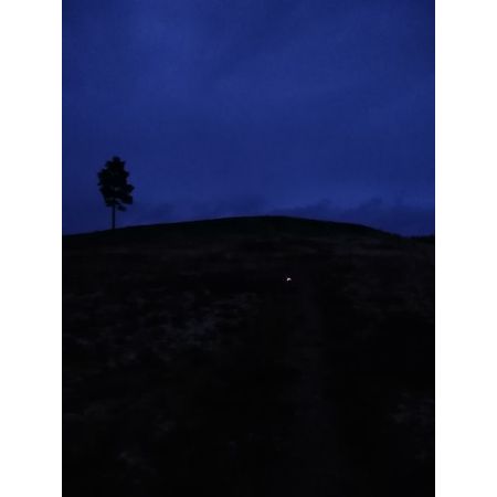 Nniielsenn
