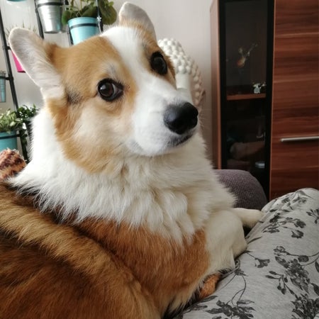 Cassieboop