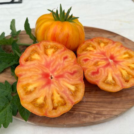 TomatTomten
