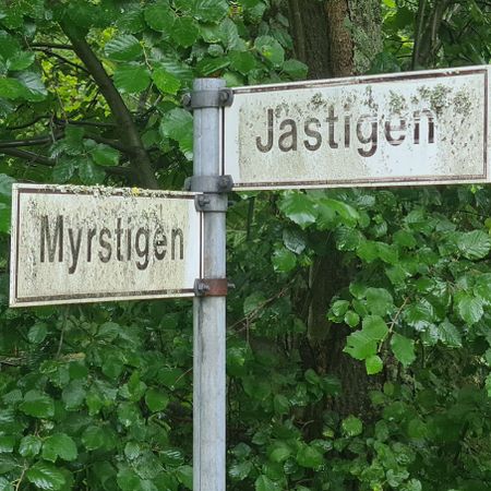 Mrjayser
