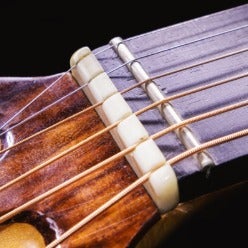 Bonenut88