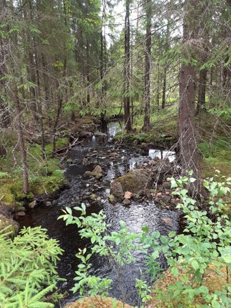 Lovisa54