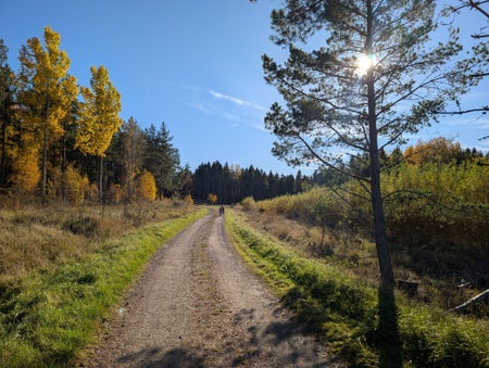 ReuseMaja