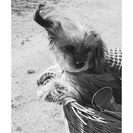 Moonchildyoda