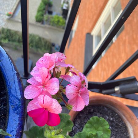 sofmar_Sthlm