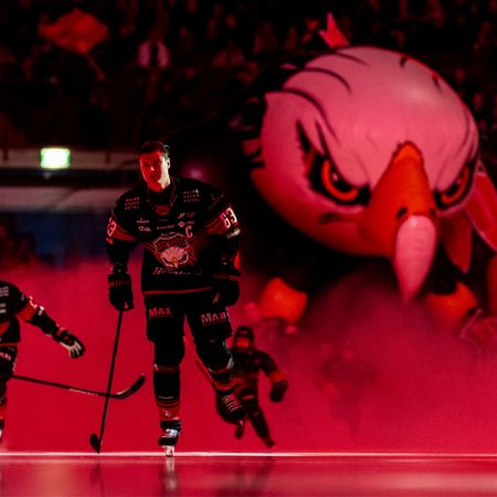 MalmöRedhawks