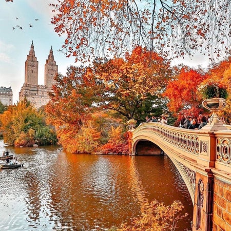 iloveny