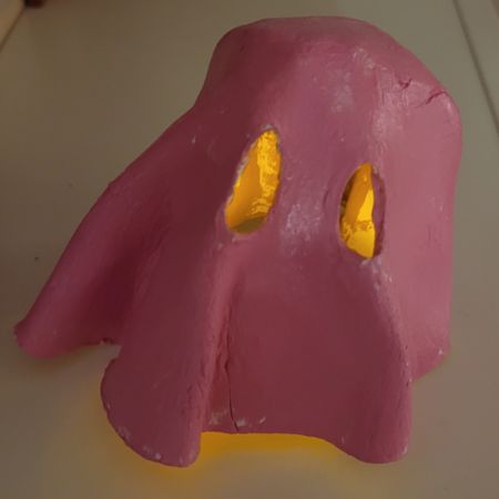 ninjatjejen
