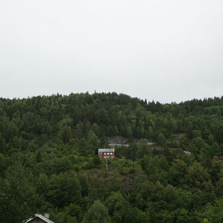 Tobbe_blom