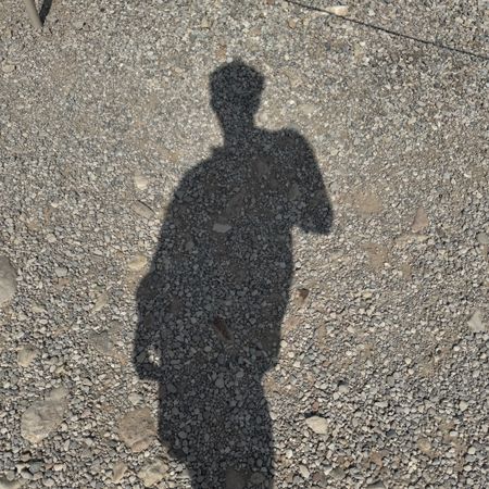 self-disciplined_butterfly