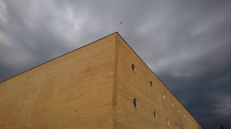 proctor_77