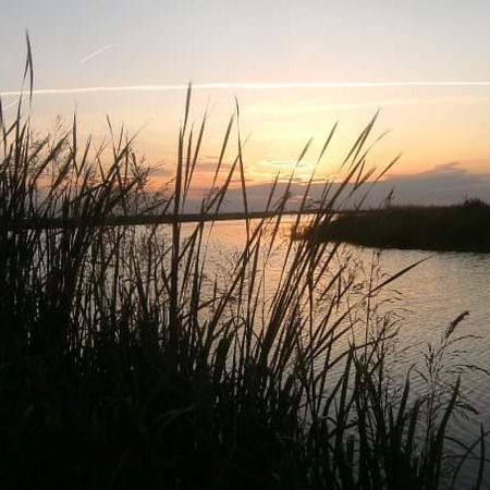flingan_66
