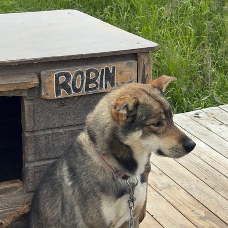 Robin_Edström