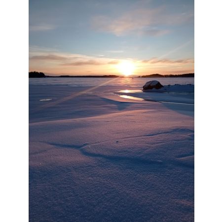 Erisson