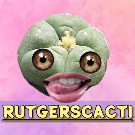 Rutgerscacti