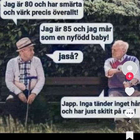 olio81