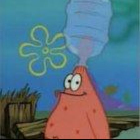 courageous_armadillo