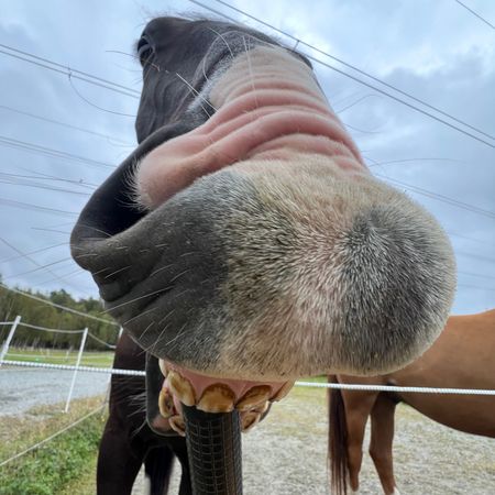 x69x-DragonSlayer-x69x