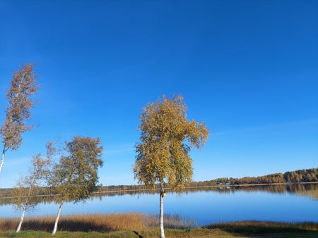 jetje