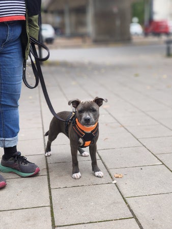 Gh3tt0Bird