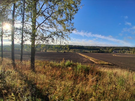HälsinglandJenny