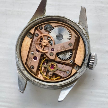 maxmotor_67