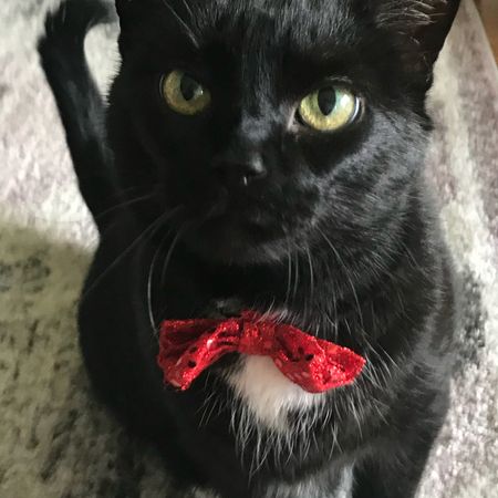 Bettyvonboop