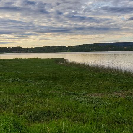 Henkelund1n