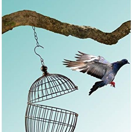 Feebird