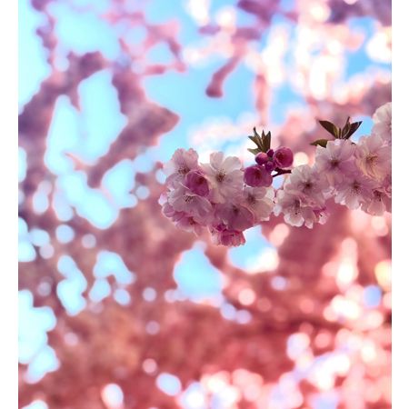 sommarvind_mode_sthlm