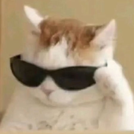 RonKst
