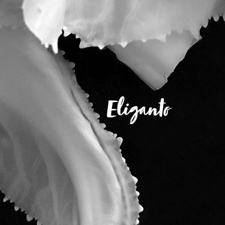 Eliganto