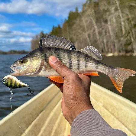 fishinglife1