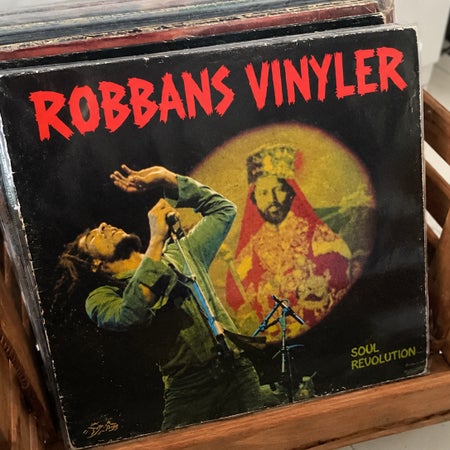 Robbansvinyler
