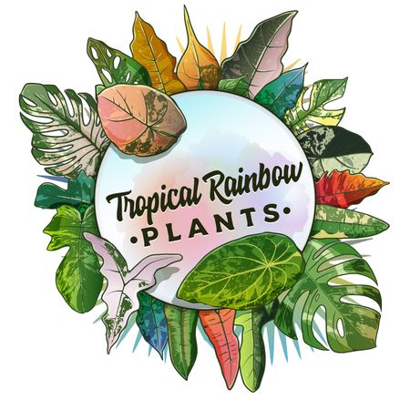 tropicalrainbowplants