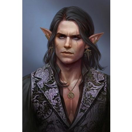 ElfDude