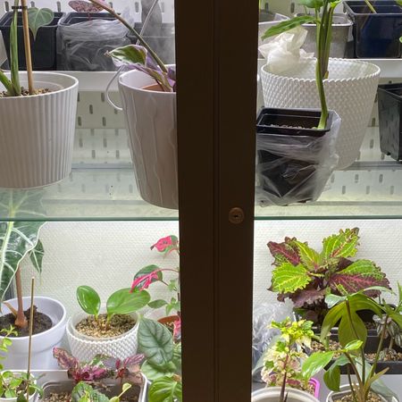 PlantPlingen
