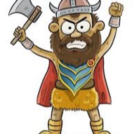 Viking-94