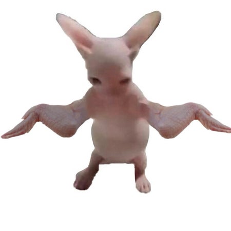 ChickenBingus