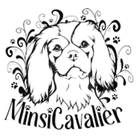 Minsi-Cavalier