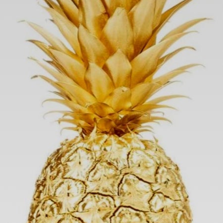 Spolierad