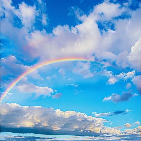 blohimmel