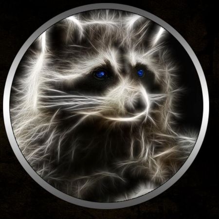 AlaskaRaccoon