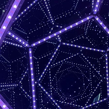 the_circular_society