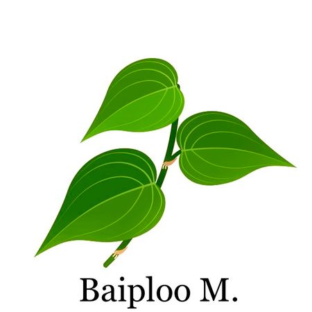 Baiploo_14
