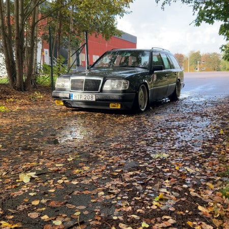 Viggis0