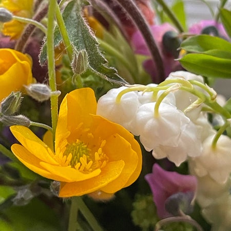 Teaflower
