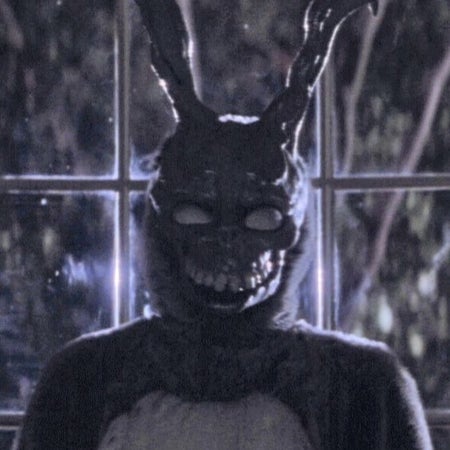 Frank-theRabbit