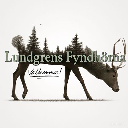 LundgrensFyndhörna