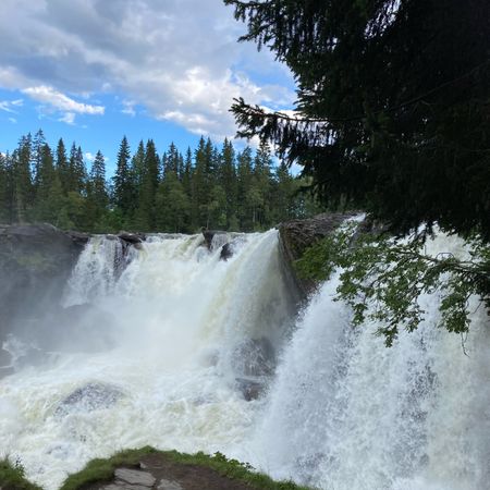 svea_2
